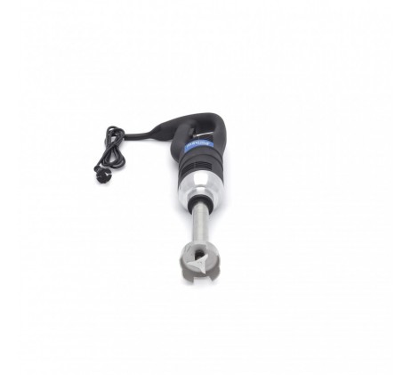 Bâton mixeur - manche 21 cm - 450W