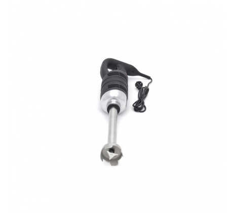 Bâton mixeur - manche 31 cm - 650W