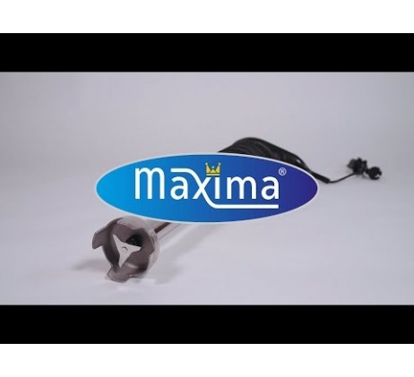 Bâton mixeur - manche 36 cm - 650W